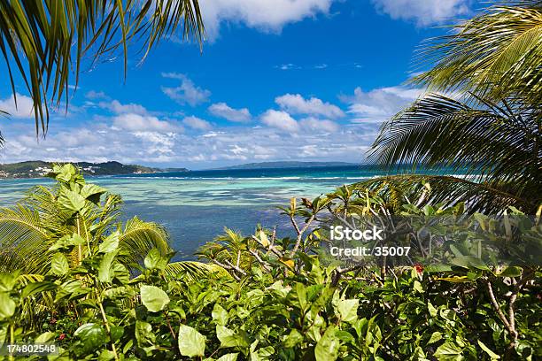Paraíso Tropical Vista - Fotografias de stock e mais imagens de Ao Ar Livre - Ao Ar Livre, Azul, Beleza
