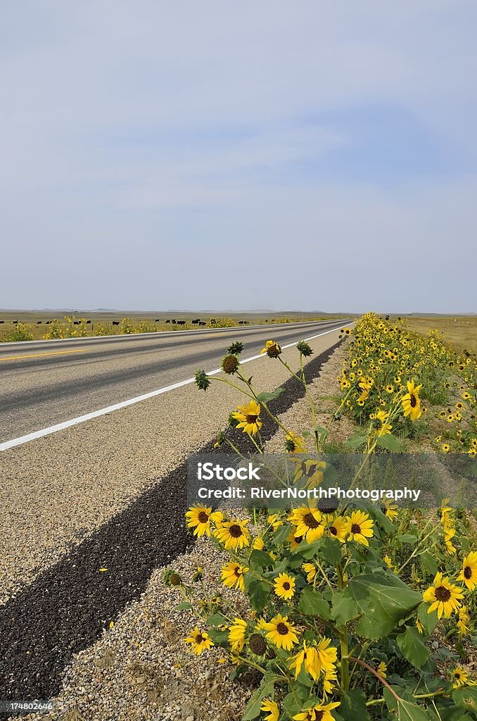 Strada, Montana - Foto stock royalty-free di Ambientazione esterna