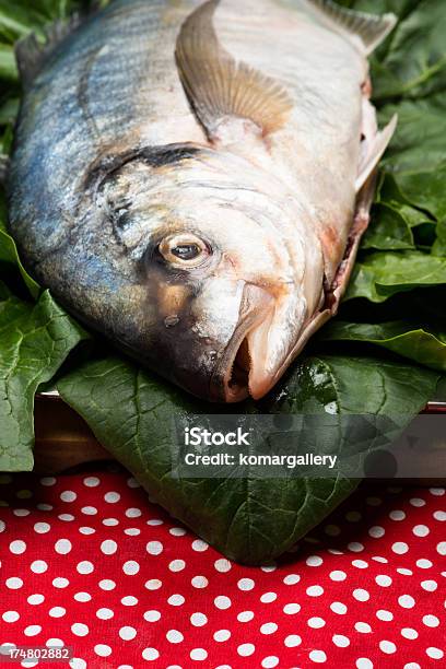 Frischer Fisch Stockfoto und mehr Bilder von Blatt - Pflanzenbestandteile - Blatt - Pflanzenbestandteile, Extreme Nahaufnahme, Fisch