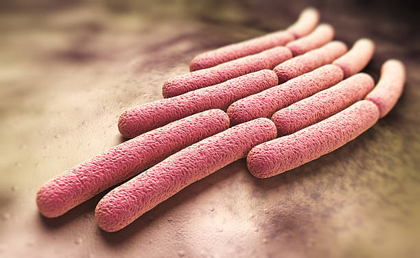 Shigella sonnei bacteria shown in a colony stock photo