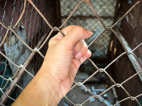 Human hand touch on old and rust chain link mesh,sign and symbol for freedom from escape