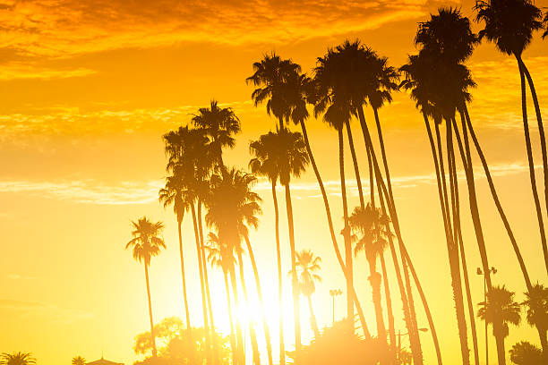 Sunset View