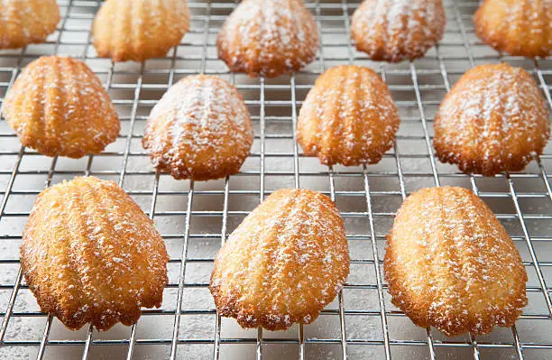 Freshly baked madeleine cookies on a cooling rack.