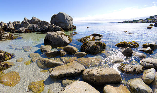 Rocks along shore in Monterey Bay at Pacific Grove, CA "Rocks along shore in Monterey Bay at Pacific Grove, CA." pacific grove stock pictures, royalty-free photos & images