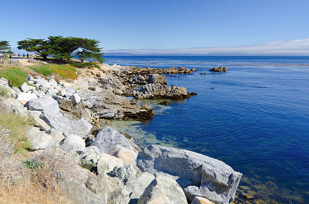 istock Shore along Monterey Bay in Pacific Grove, CA 174803541
