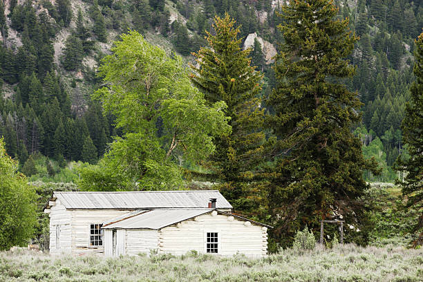 istock Log Cabin Wilderness Homestead 174803578