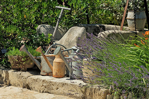 A 19-year-old waters the plants in her backyard garden.