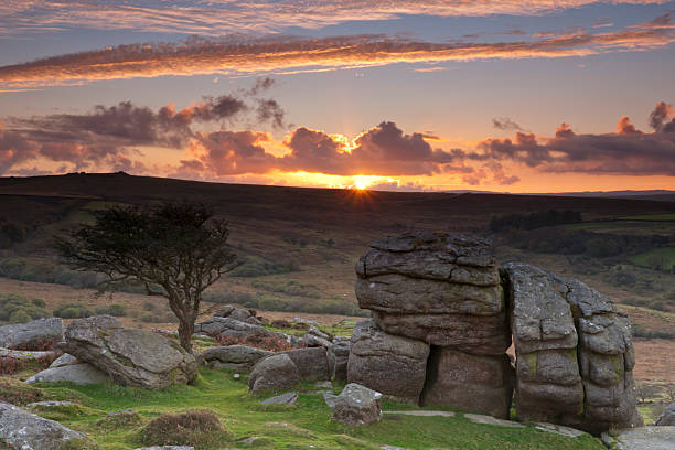 istock Sunset on an old knarled tree at Saddle Tor, Dartmoor 174804471