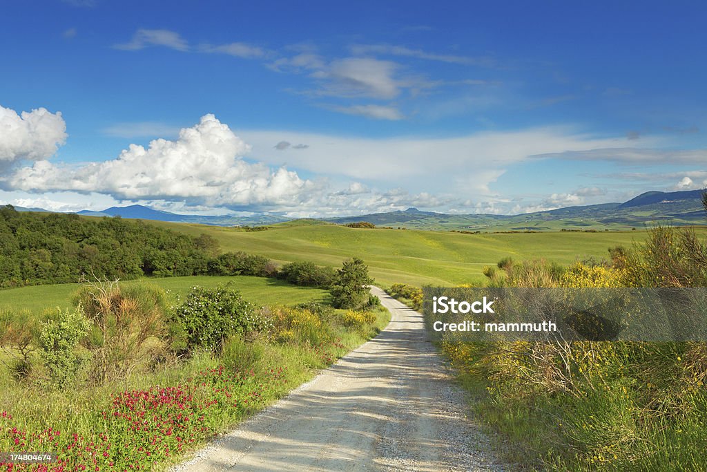 La carretera de tierra en counryside - Foto de stock de Agricultura libre de derechos