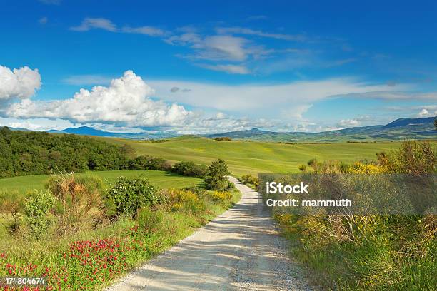 La Carretera De Tierra En Counryside Foto de stock y más banco de imágenes de Agricultura - Agricultura, Aire libre, Ajardinado
