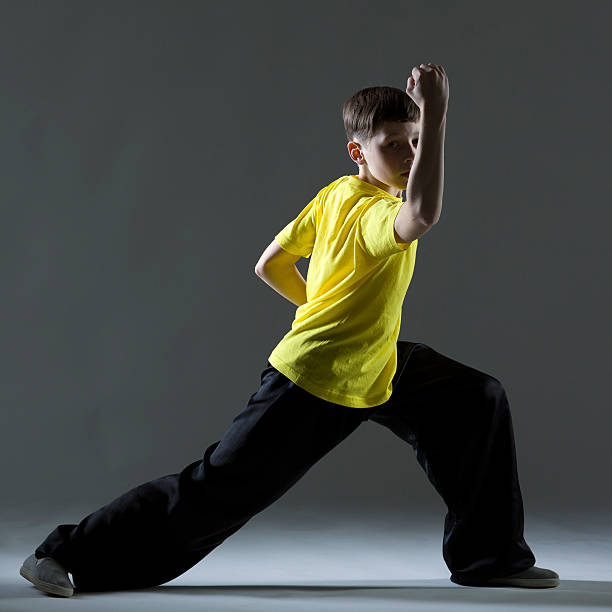 istock Young Boy in Kung Fu fighting position 174805359