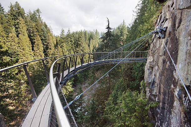 Sky Walk A cable suspended walkway that comes out over the forest canopy and away from the cliff wall. canopy tour photos stock pictures, royalty-free photos & images