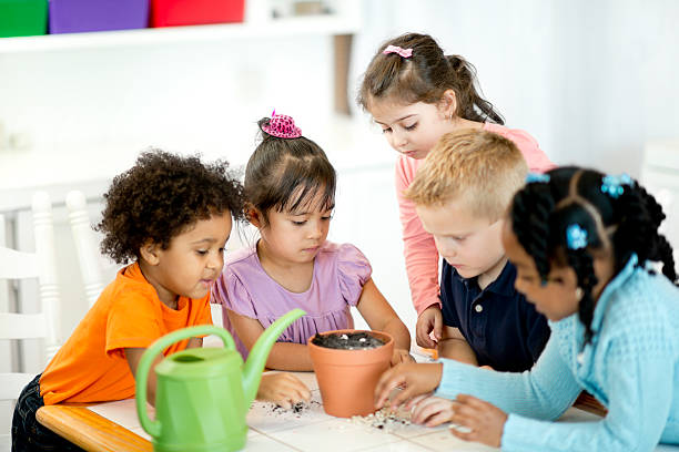 école maternelle - preschooler preschool multi ethnic group plant photos et images de collection