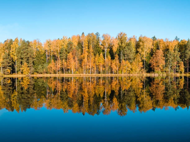 istock Fall colour reflected in the still waters of Canisbay Lake 1748059911