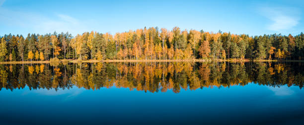 Fall colour reflected in the still waters of Canisbay Lake