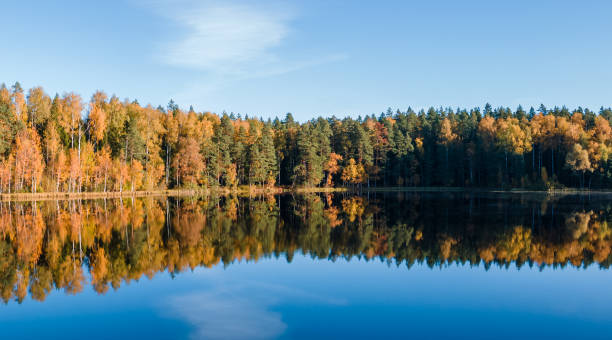 istock Fall colour reflected in the still waters of Canisbay Lake 1748059916