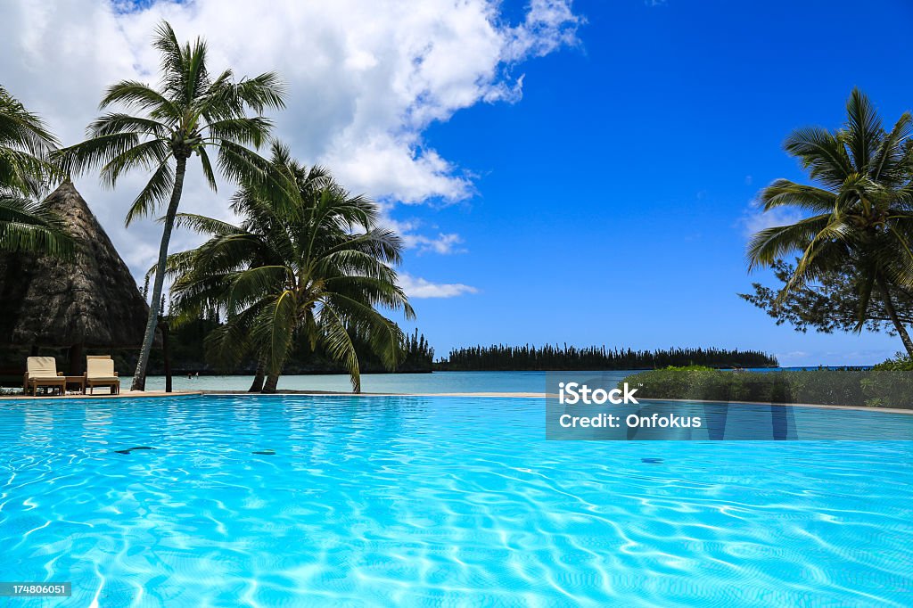 Infinity Pool at Tropical Resort on Perfect Sunny Day DSLR Picture of an Infinity Swimming pool At Tropical Resort on a sunny day. The water is clear blue and there is palm trees,chairs and the sea in the background.  Pines Island Stock Photo