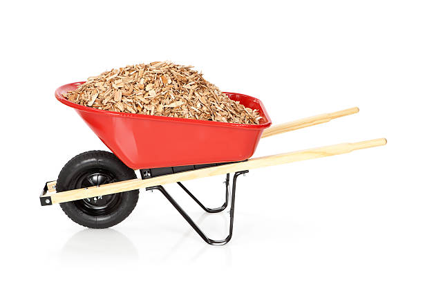 Wheelbarrow next to a fenced vegetable bed on the lawn in a natural garden, seasonal gardening for organic homegrown food in the backyard, copy space, selected focus, narrow depth of field