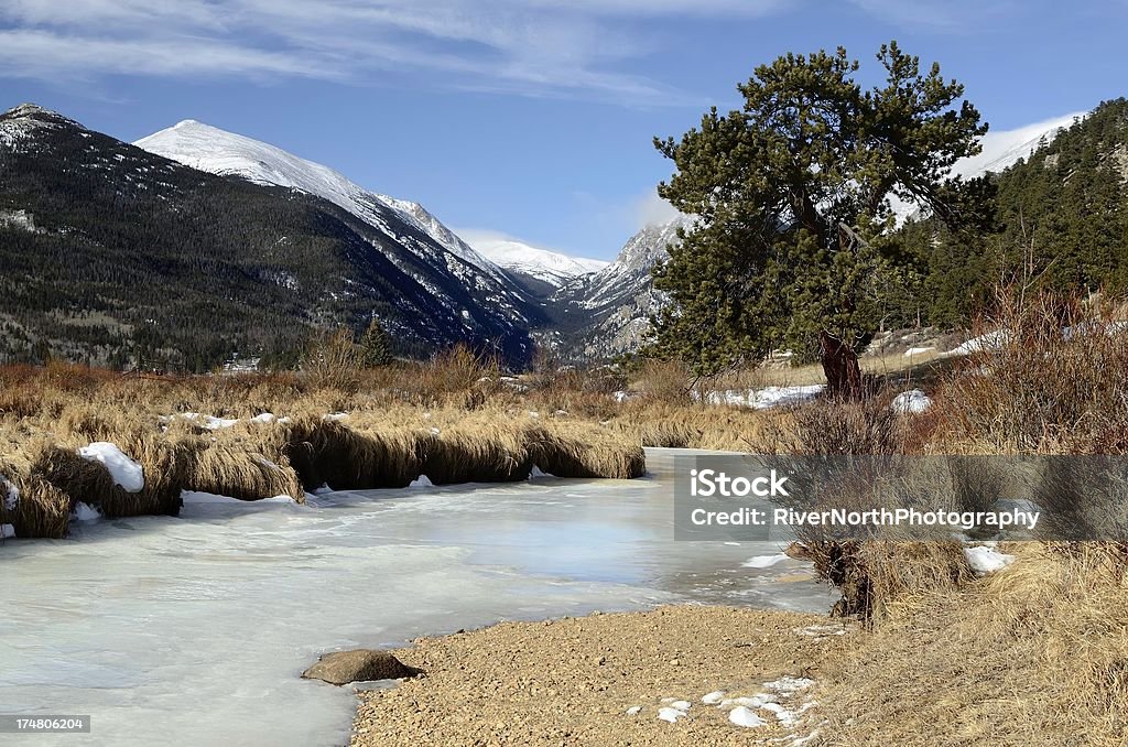 Parco Nazionale delle Montagne rocciose in inverno - Foto stock royalty-free di Estes Park