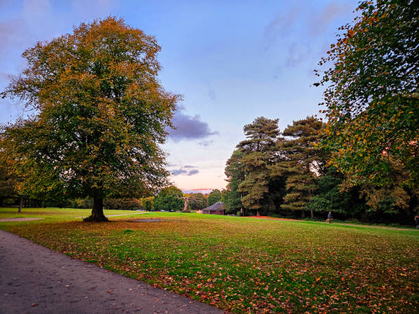 Kin Park Sutton 60+ Sutton Coldfield Photos Stock Photos, Pictures & Royalty-Free ...