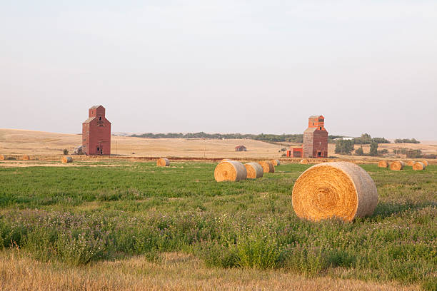 穀物エレベーター - canada saskatchewan grain elevator prairie ストックフォトと画像