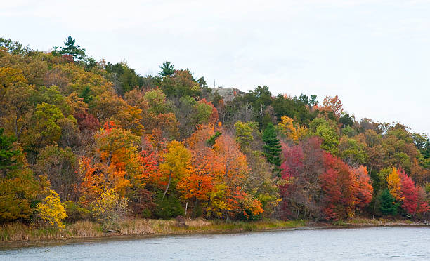 istock Autumn Colour In Eastern Ontario 174807452
