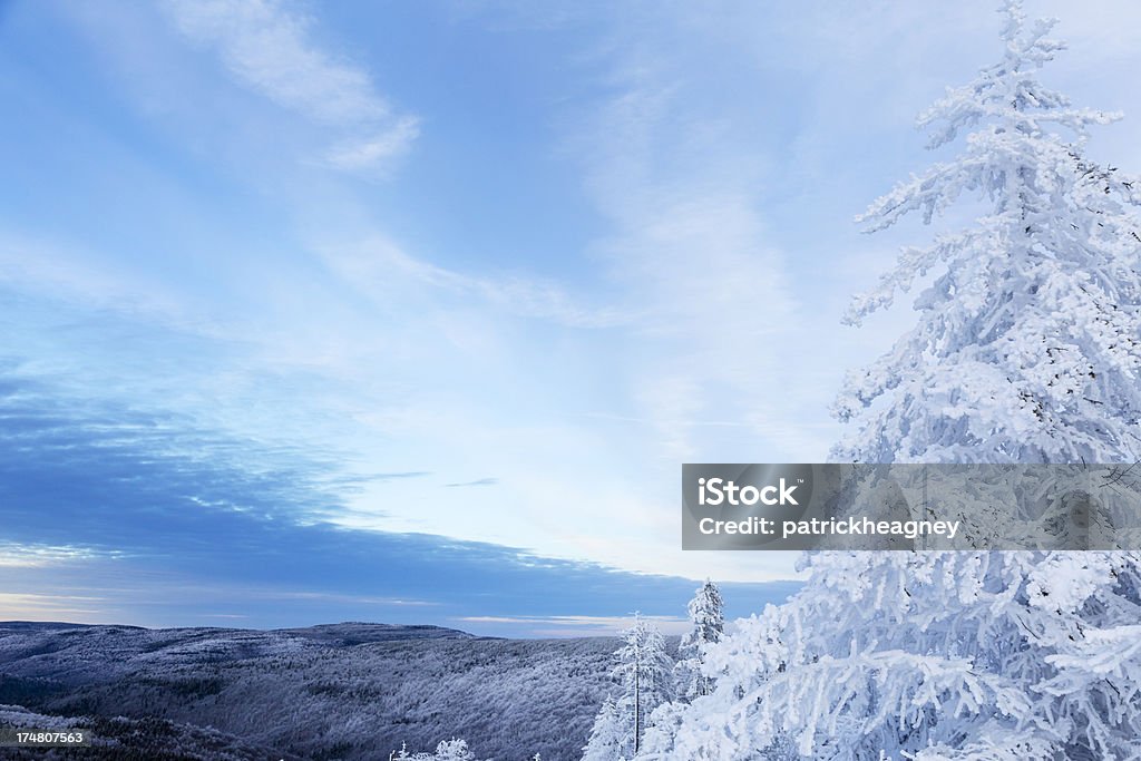 Montañas cubiertas de nieve - Foto de stock de Virginia Occidental - Estado de EE. UU. libre de derechos