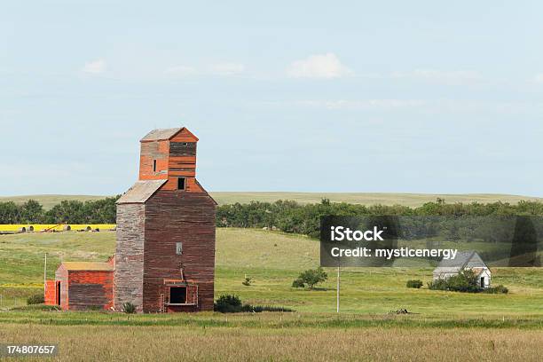 Silo - Fotografie stock e altre immagini di Convogliatore per cereali - Convogliatore per cereali, Vecchio, Agricoltura