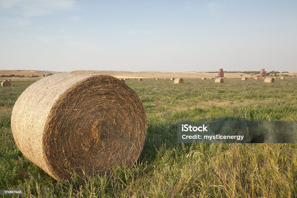 Getreideheber - Lizenzfrei Agrarbetrieb Stock-Foto