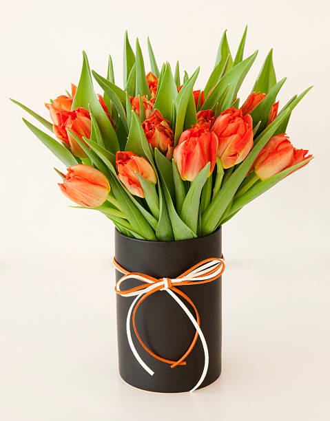 istock lovely spring colored tulips in a bouquet arrangement 174807950