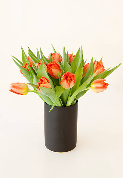 istock lovely spring colored tulips in a bouquet arrangement 174807954