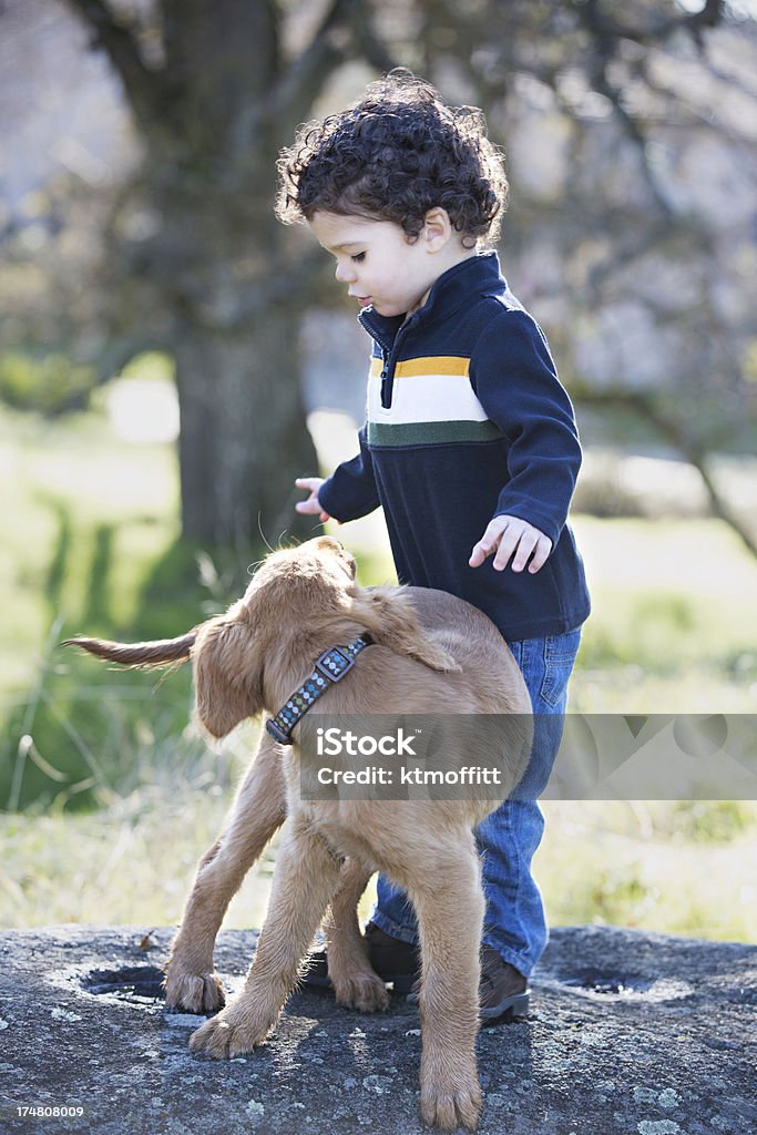 Niño jugando con cachorro - Foto de stock de 2-3 años libre de derechos