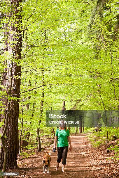 Foresta Passeggiata Con Il Cane - Fotografie stock e altre immagini di Solo una donna - Solo una donna, Passeggiare con il cane, Primavera