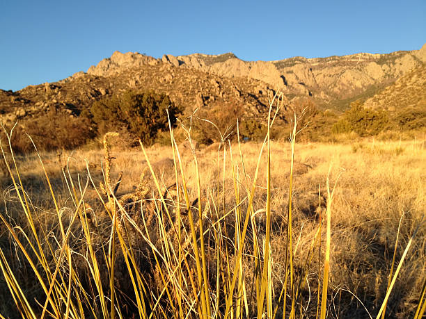 mobilestock paisagem do pôr do sol - mobilestock focus on foreground extreme terrain rolling landscape imagens e fotografias de stock