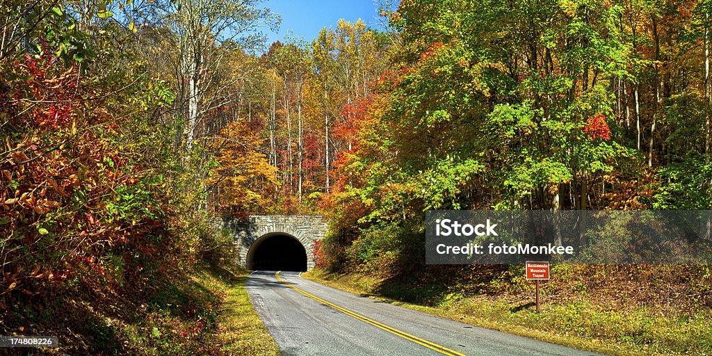 Tunnel, serpente, sulle montagne Blue Ridge Parkway, Carolina del Nord, Stati Uniti - Foto stock royalty-free di Carolina del Nord - Stato USA