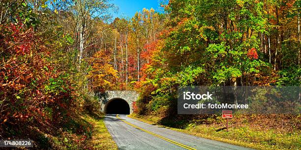 Tunnel Serpente Sulle Montagne Blue Ridge Parkway Carolina Del Nord Stati Uniti - Fotografie stock e altre immagini di Carolina del Nord - Stato USA