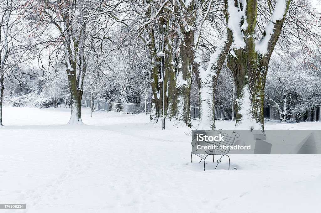 Snowy Zima scena w parku miejskiego - Zbiór zdjęć royalty-free (Ławka parkowa)