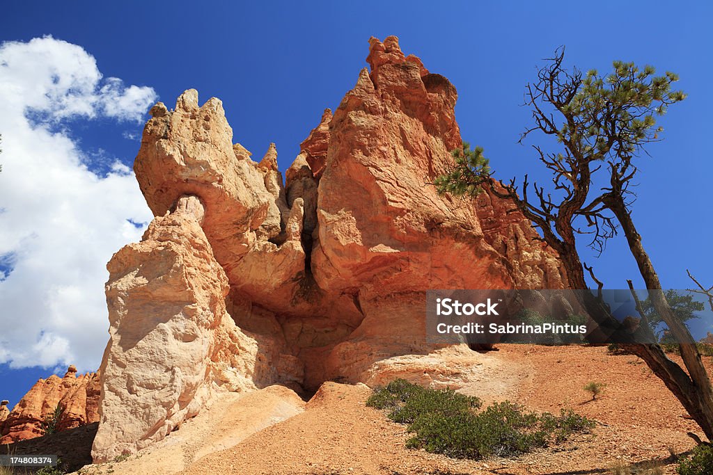 Bryce canyon national park, Utah. USA. - Zbiór zdjęć royalty-free (Bez ludzi)