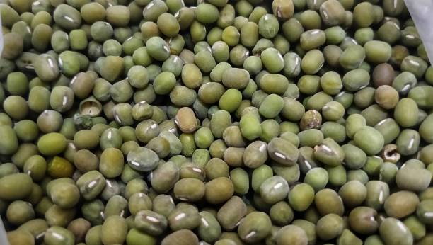 istock background texture of mung beans. 1748084219