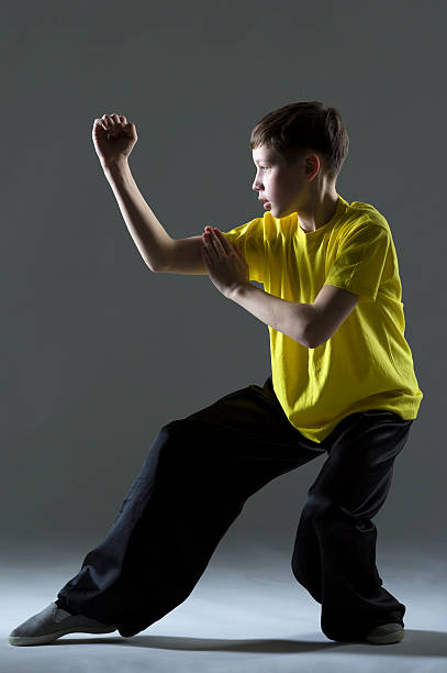 istock Young Boy in Kung Fu fighting position 174808613