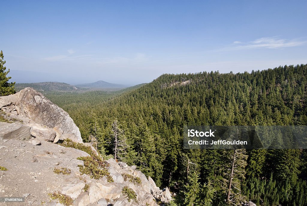 Rock Wychodnia i Forest - Zbiór zdjęć royalty-free (Ameryka Północna)