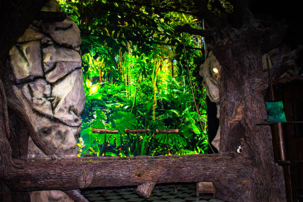 istock Tropical garden at Tenerife, 1748091677