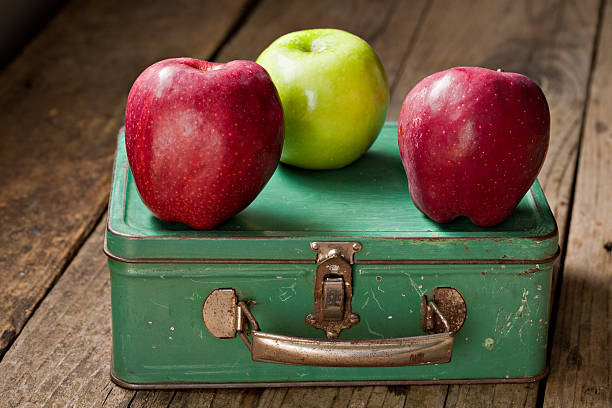 regresso às aulas - lunch box box old green imagens e fotografias de stock