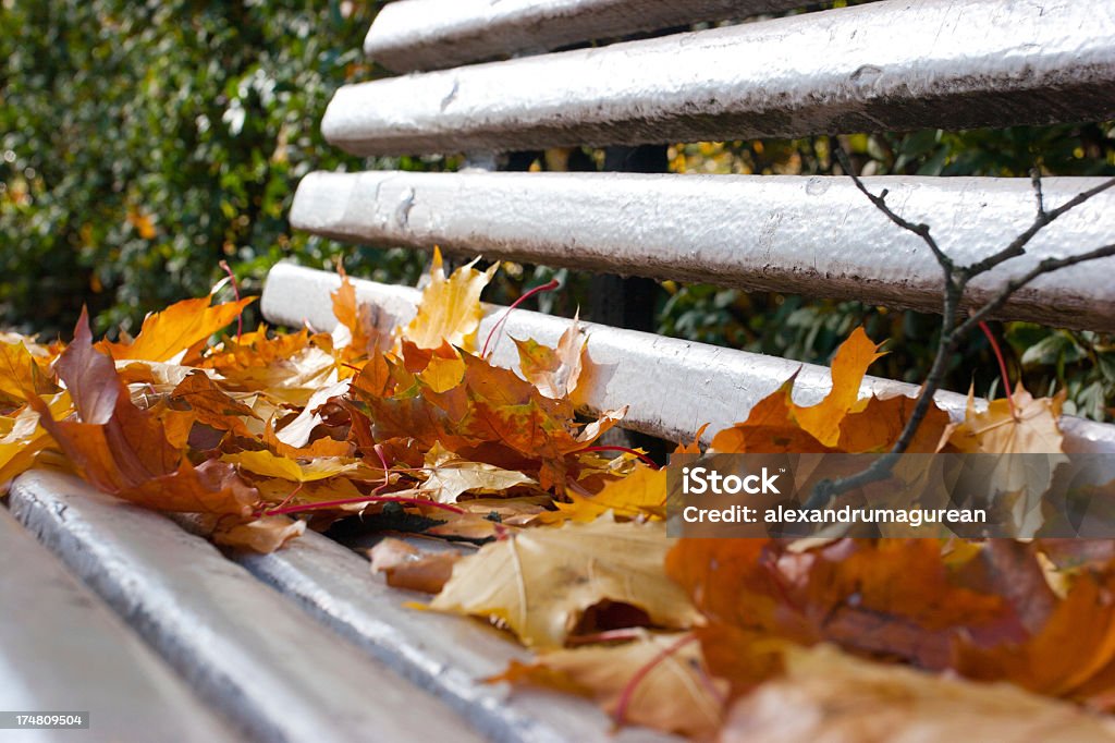 Paesaggio autunnale - Foto stock royalty-free di Acqua