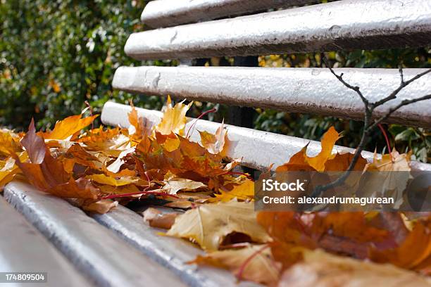 Paesaggio Autunnale - Fotografie stock e altre immagini di Acqua - Acqua, Albero, Ambientazione esterna