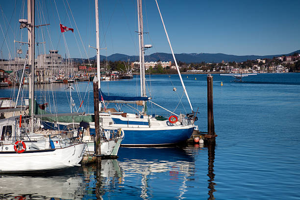 istock Sailboats docked in Victoria Harbor 174809568