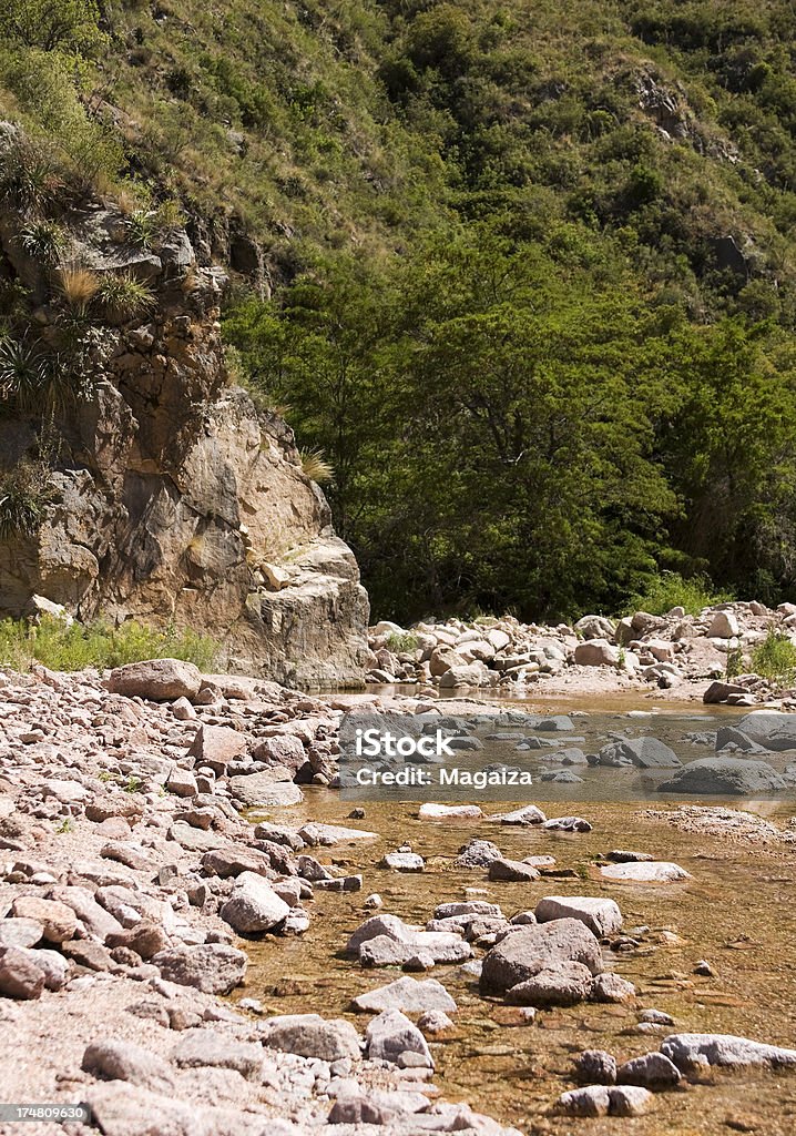 Río de montaña - Foto de stock de Agua libre de derechos