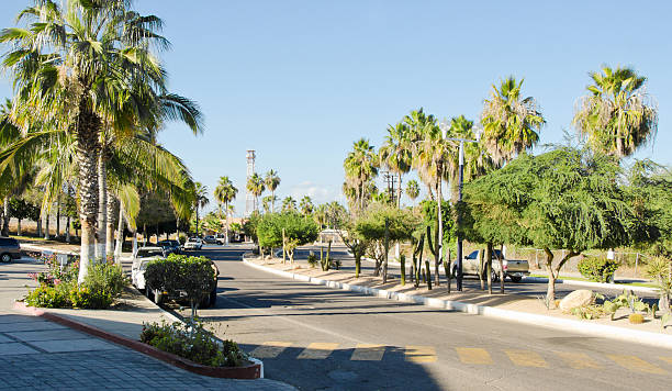 istock Entrance- San Jose del Cabo 174809792