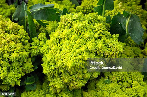 Foto de Closeup De Orgânicas Colhidas Romanesco Brócolis e mais fotos de stock de Agricultura - Agricultura, Amarelo, Califórnia