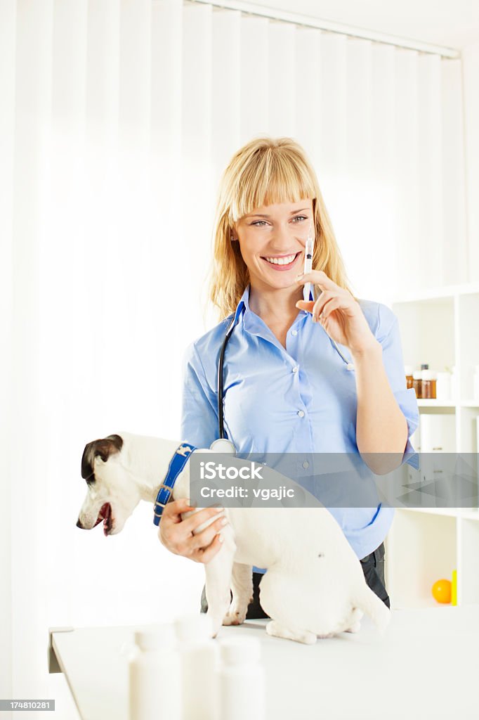 Veterano sorridente dando a vacina para cachorros. - Foto de stock de Adulto royalty-free